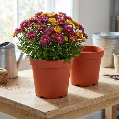 Cache-pot plastique Ø21cm 10pcs | Floristik24.be
