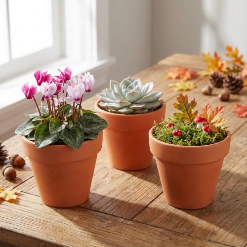 Pot de fleur en argile Ø6cm haut 5cm 10pcs | Floristik24.be