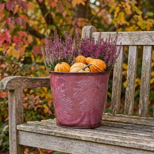 Jardinière, seau en métal avec feuilles, décoration automne rouge vin Ø18cm H17cm | Floristik24.be