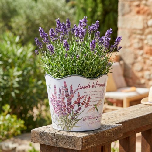 Jardinière pot de fleur plastique été lavande Ø16,5cm H13,5cm | Floristik24.be