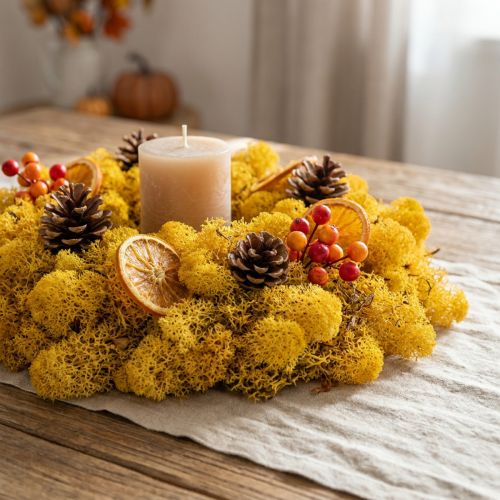 Mousse de Rennes Jaune 400g | Floristik24.be