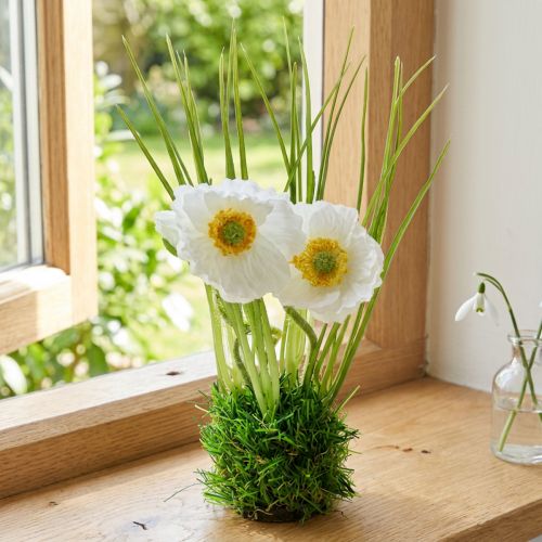 Coquelicot dans l'herbe 23cm | Floristik24.be