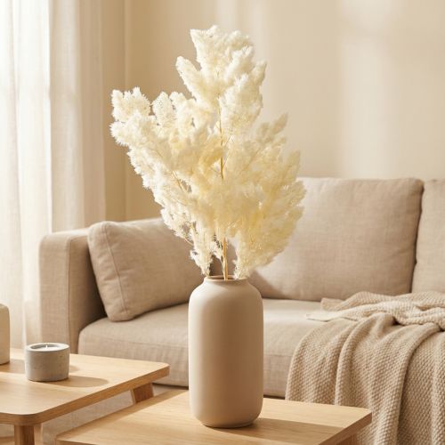 Asperges sèches décoration