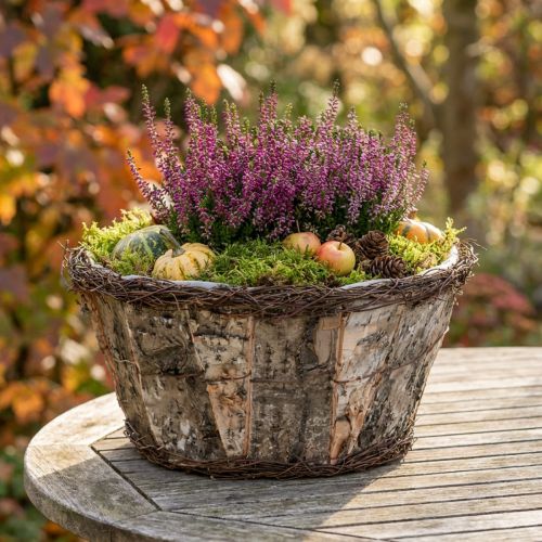 Pot de fleurs rustique avec écorce de bouleau et lianes imitation bois | Floristik24.be