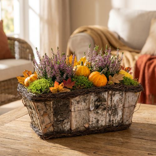 Jardinière cache-pot carré bouleau/vigne 28×14×11.5cm | Floristik24.be