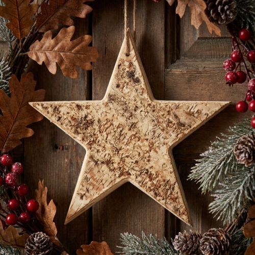 Étoile décorative en bois naturel avec écorce de bouleau Ø20 cm | Floristik24.be