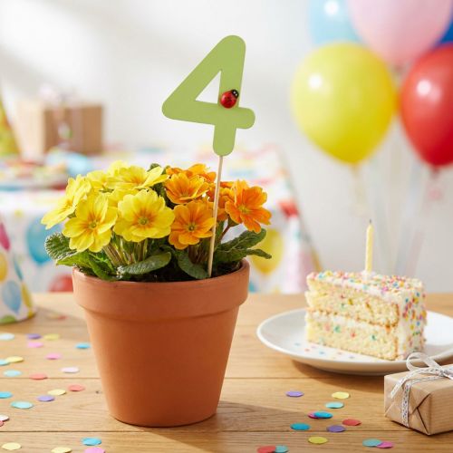 Article Bouchons numérotés anniversaire 4 bouchons fleurs bois 27,5cm 16 pcs