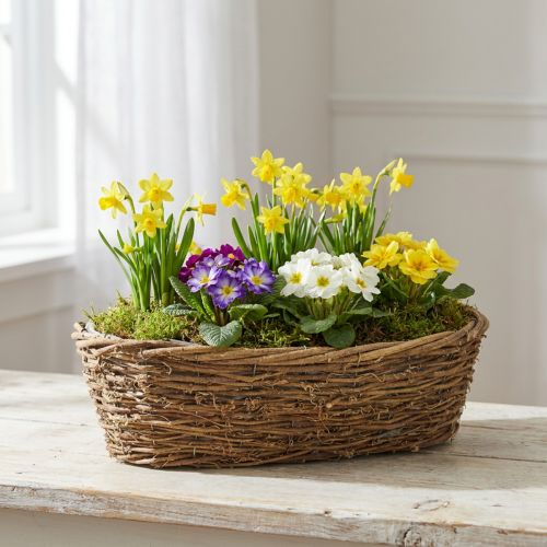 Pot de fleurs ovale en vigne naturelle 40 x 19 x 11,5 cm | Floristik24.be