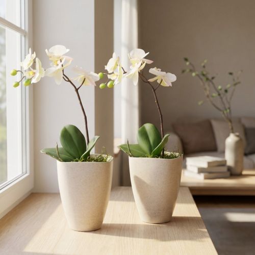 Article Pot à orchidées, pot de fleurs, plastique, beige moucheté, 13,5 x 13 cm, H 16,5 cm, 2 pièces