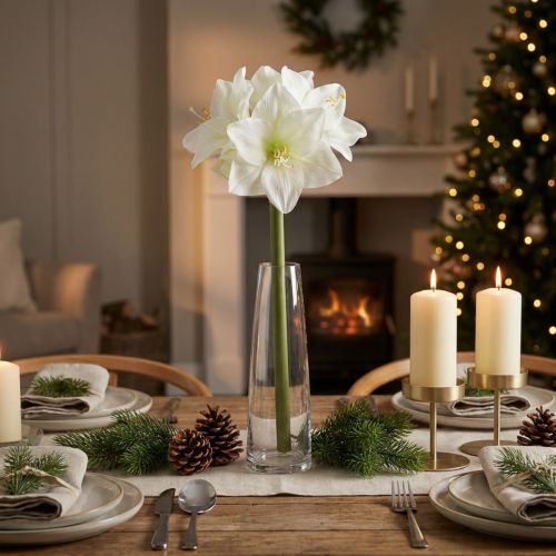 Article Amaryllis artificielle blanche avec tige, Avent et Noël, 50 cm