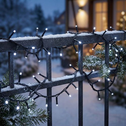 Guirlande lumineuse LED riz 40s 3m pour extérieur blanc froid | Floristik24.be