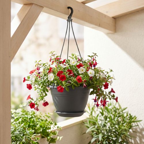 Article Panier suspendu Galicia Ø30cm anthracite
