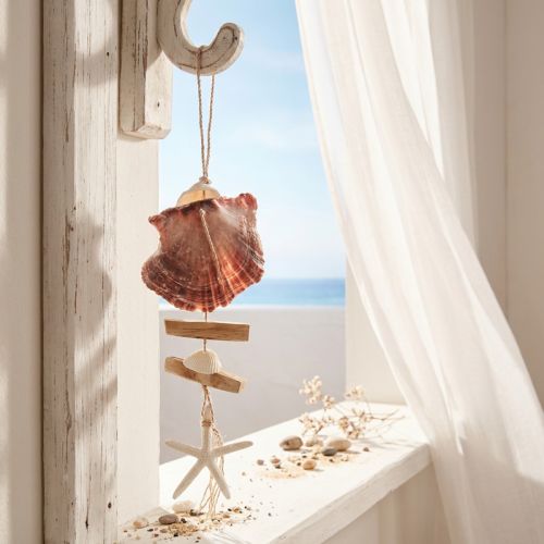 Suspension décorative maritime coquillage étoile de mer Ø10–12cm 40cm | Floristik24.be