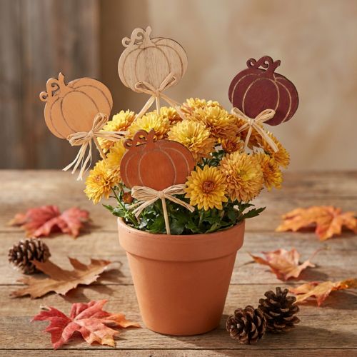 Tuteurs en bois pour fleurs de citrouille, finition orange et naturelle, 6,5 x 7 cm, lot de 12 | Floristik24.be
