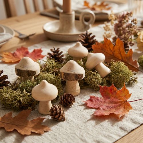 Mini champignons décoratifs en bois naturel avec écorce Ø2cm, 36 pièces | Floristik24.be