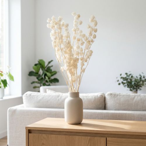 Article Physalis séchée, blanchie, en forme de lanterne, Nicandra, 75-80 cm, 100 g