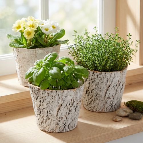 Pot de fleurs imitation écorce, idéal pour une décoration intérieure rustique et la mise en valeur des plantes, 12 cm, lot de 4 | Floristik24.be