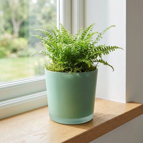 Cache-pot en verre jardinière verte pot en verre Ø11.5cm H11cm | Floristik24.be