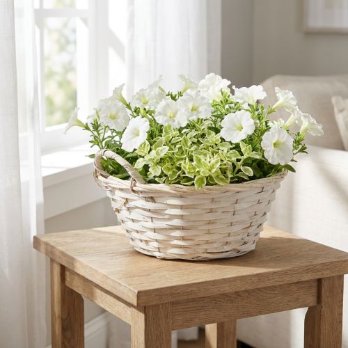 Panier à anses, panier en bois aggloméré, panier à plantes, blanc, vintage, décoratif, Ø35cm | Floristik24.be