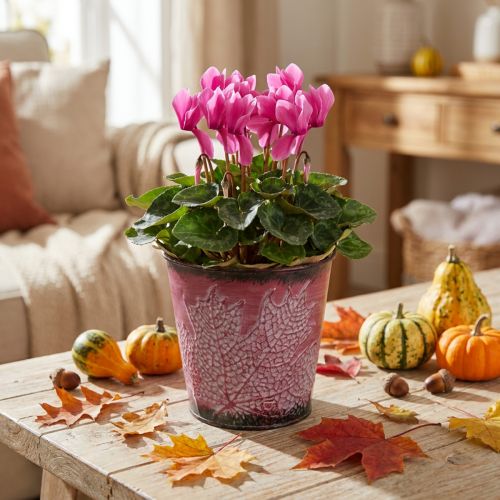 Jardinière à décor de feuilles, récipient en métal, automne, cache-pot vin rouge Ø10cm H10cm | Floristik24.be