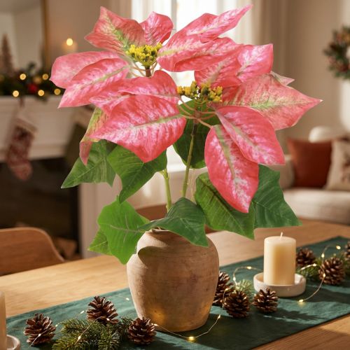 Poinsettia Artificiel Rouge Rose L35cm 6pcs 2 bouquets | Floristik24.be