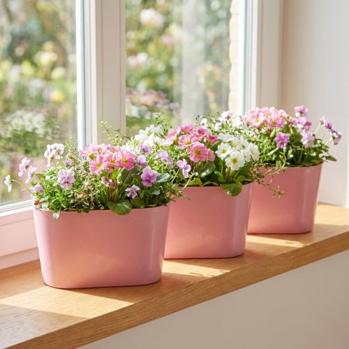 Bol à plantes ovale rose bol décoratif plastique 20×10×11cm 3pcs | Floristik24.be