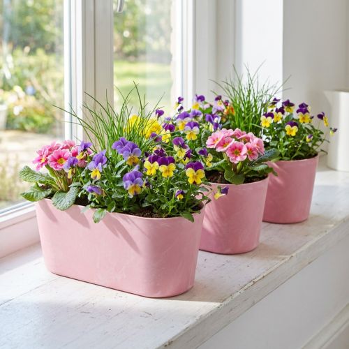 Bol de plantation ovale pour bateau de plantation rose 27×11×10cm 3pcs | Floristik24.be