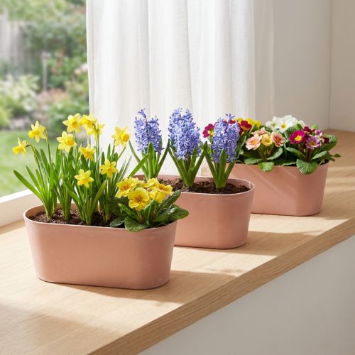 Bol à plantes ovale décoratif en plastique rose marron 27×11×10cm 3pcs | Floristik24.be