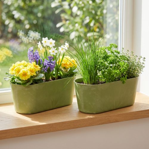 Bol à plantes ovale vert en plastique 27×11×10cm 3pcs | Floristik24.be