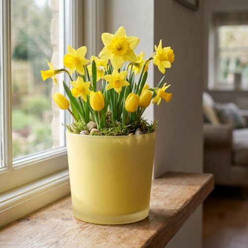Cache-pot en verre pot en verre décoratif jaune Ø11.5cm H11cm | Floristik24.be