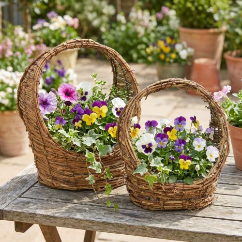 Panier de plantation avec anse, motif vigne, L18/22cm, lot de 2 | Floristik24.be