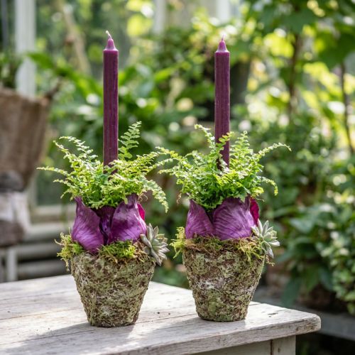 Pot de fleurs aspect forêt rustique Ø12,5cm H12cm 2pcs | Floristik24.be
