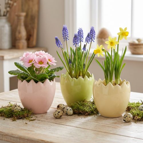 Article Pot de fleurs en forme d'œuf à bord irrégulier pour une décoration originale sur rebord de fenêtre ou table, 9 cm, lot de 3