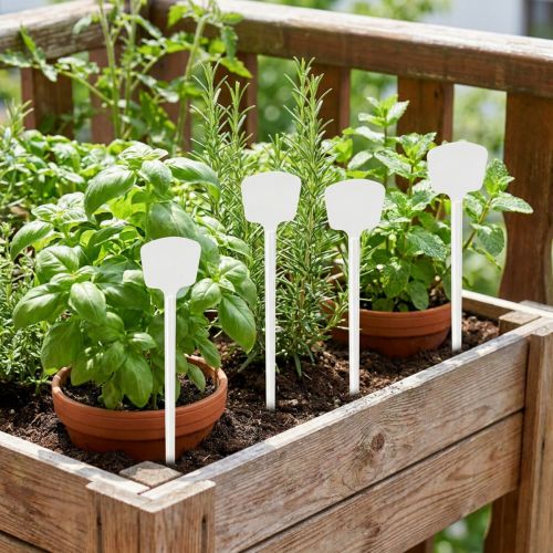 Etiquette plante 32cm 10pcs. | Floristik24.be
