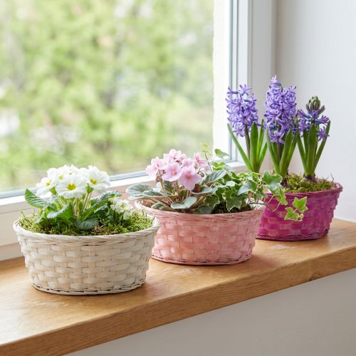 Panier à chips rond violet/blanc/rose Ø25cm 6 pcs | Floristik24.be