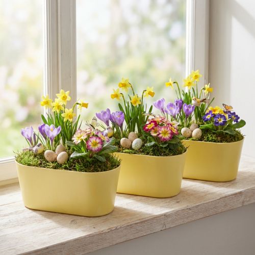 Bol à plantes ovale décoratif en plastique jaune 27×11×10cm 3pcs | Floristik24.be