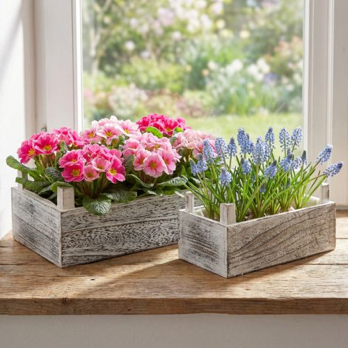 Jardinière rectangulaire en bois blanchi 32x17/25x13cm lot de 2 | Floristik24.be
