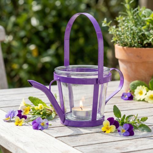 Lanterne verre arrosoir décoratif métal violet Ø14cm H13cm | Floristik24.be