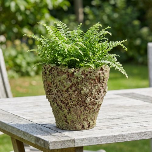 Pot de fleurs rustique aspect mousse Ø17cm H16,5cm | Floristik24.be