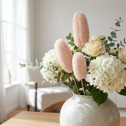Grand luffa sur bâton, blanchi, 25 pièces | Floristik24.be