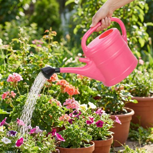 Arrosoir rose 10 L