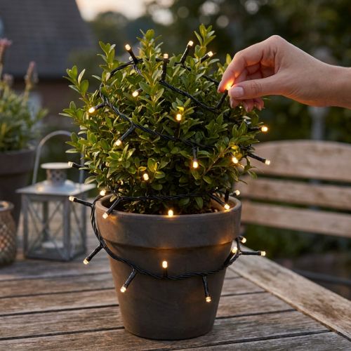 Guirlande lumineuse LED, 144 LED, noire, blanc chaud, pour extérieur, 1,2 m | Floristik24.be