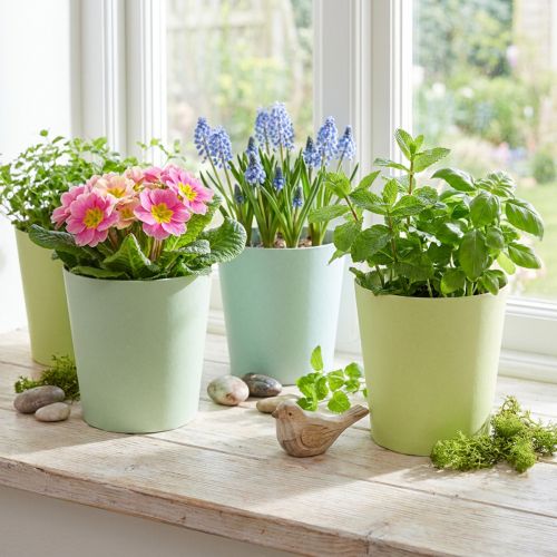Pot en papier, cache pot, jardinière bleu/vert Ø11cm H10cm 4pcs | Floristik24.be