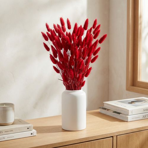 Queue de lapin (Lagurus) rouge séchée 60 cm 50 g Décoration florale séchée | Floristik24.be