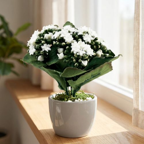Kalanchoe artificiel Flaming Käthchen Blanc 24cm | Floristik24.be