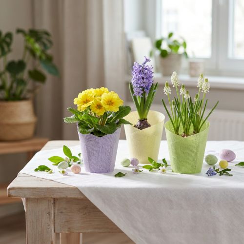 Cache-pot jardinière tressée papier vert, jaune, violet Ø7cm H13cm 12pcs | Floristik24.be