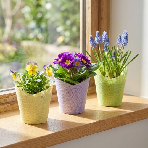 Article Cache-pot papier tressé vert jaune violet Ø9cm H18cm 9 pcs