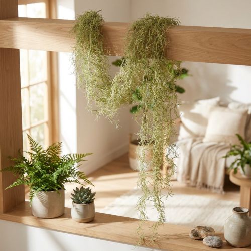 Tillandsia suspendu décoratif Tillandsia artificiel vert blanc 180cm | Floristik24.be