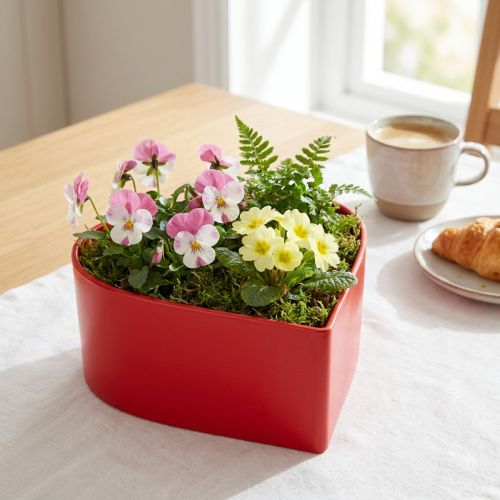 Coeur de plante romantique bol à plantes coeur rouge 15×15×7cm 3pcs | Floristik24.be