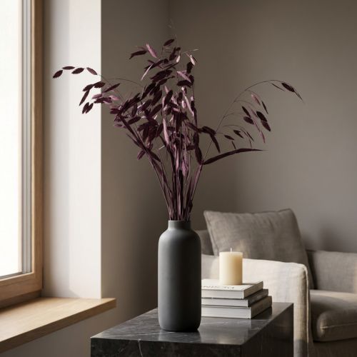 Article Herbe à oreilles plates herbe sèche Chasmantium violet 70cm 10 pcs